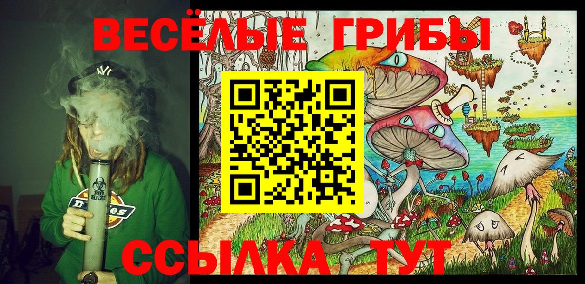 Кириши  Псилоцибиновые грибы мицелий  наркота  Вход с VPN 