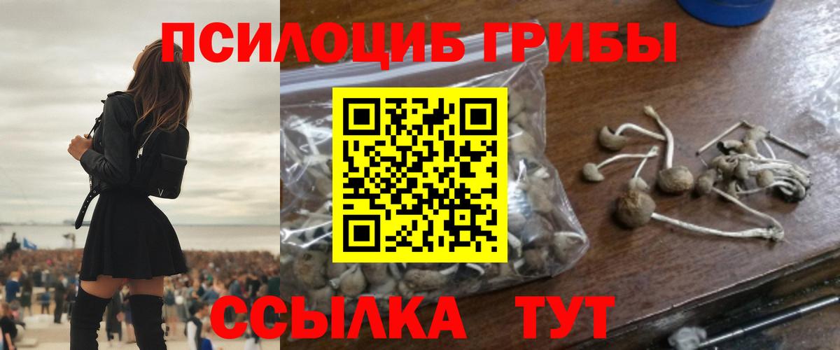 Псилоцибиновые грибы GOLDEN TEACHER Кириши